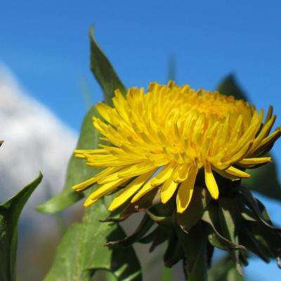 am8亚美ag旗舰厅官网手机app下载